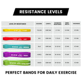 Resistance Band 15-30 Kg (Blue & Grey)
