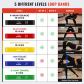 Slovic Table displaying different levels of loop bands with exercise examples and images.